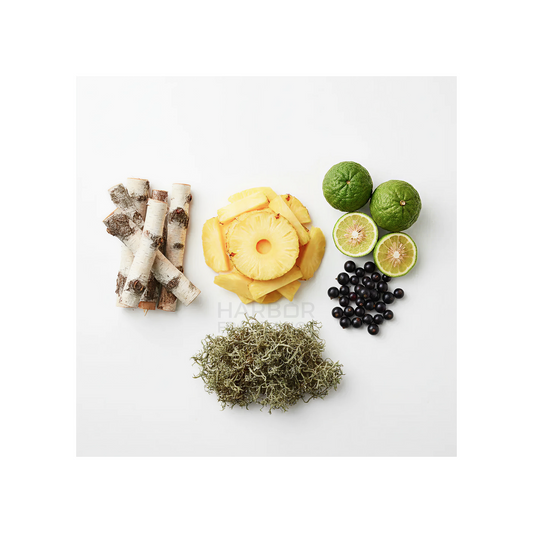 Creed Aventus Decant