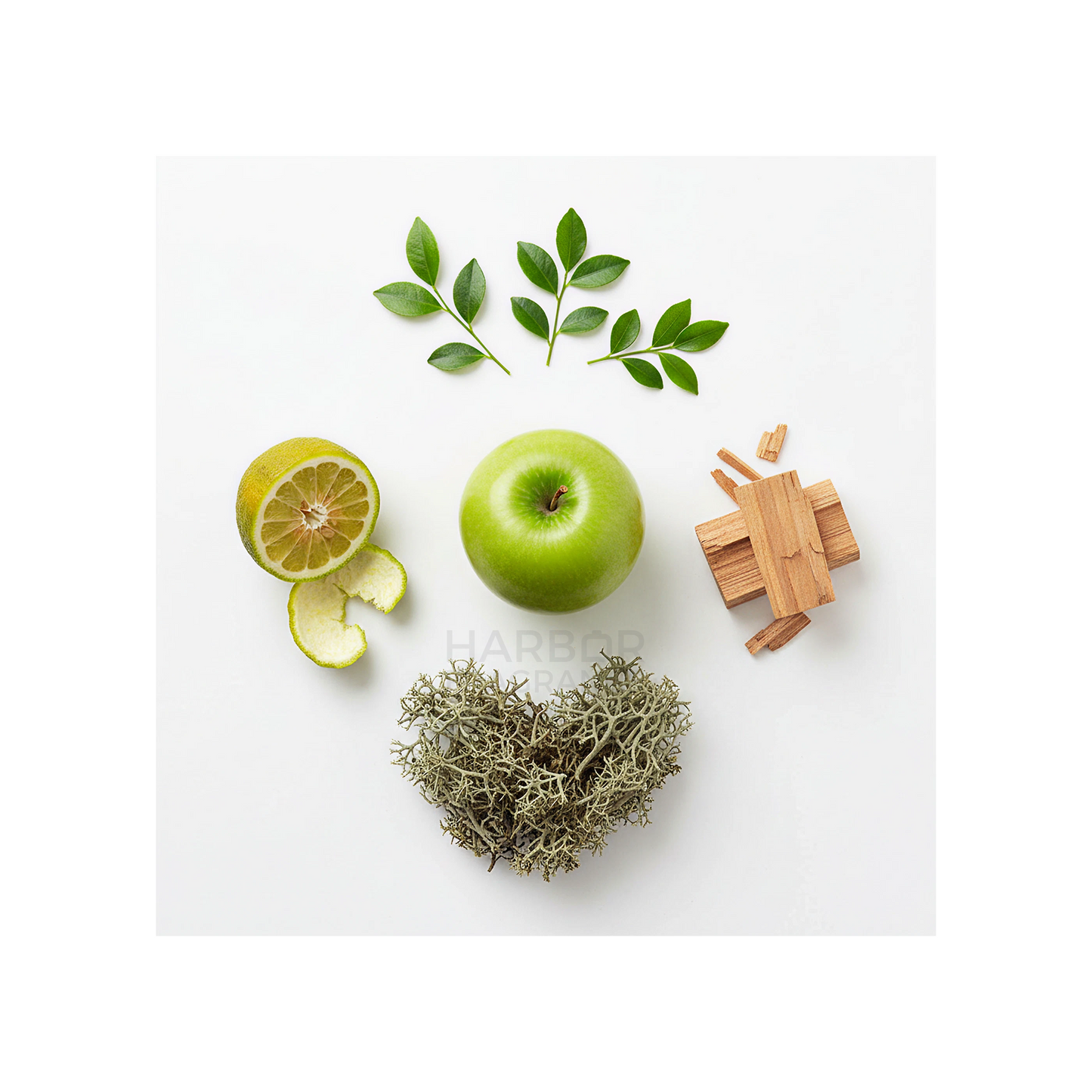 Parfums de Marly Greenley Decant